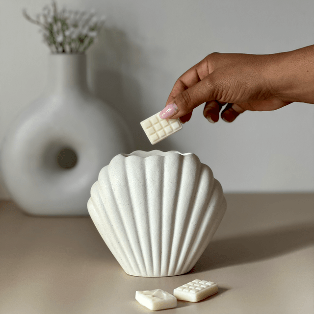 Minimalist coquillage 