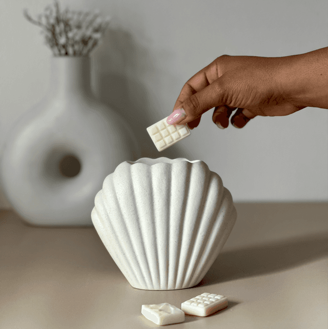 Minimalist coquillage 